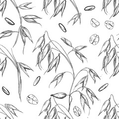 Hand drawn seamless pattern of plant oats, grain. illustration on white background. sketch. vector