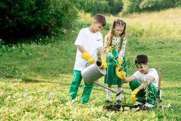 Two teenage boys and a girl of 8 years old in green clothes plant a tree in the garden