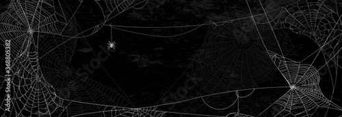 Fotografía Spider webs on black wall - halloween banner with spider on dark background