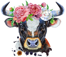 Watercolor Illustration Of Black Bull With White Spot In Peonies Wreath