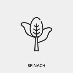 Poster - spinach icon vector sign symbol