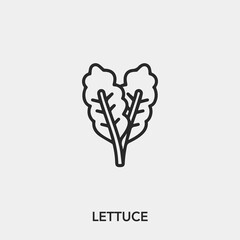 Poster - lettuce icon vector sign symbol