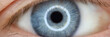 Blue male, human eye closeup super macro. Laser correction vision concept