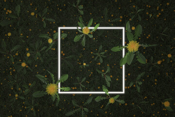 3d rendering of white square with neon light covered by dandelion plants. Flat lay of minimal nature style concept