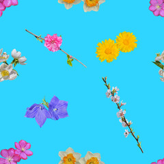 Wall Mural - Various cultivated and uncultivated flowers. Seamless pattern.