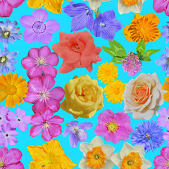 Canvas Print - Various wild and cultivated flowers. Seamless pattern.