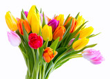 Fototapeta Tulipany - bouquet of colorful tulips