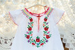 © Zsolt Biczó - Skirt decorated with traditional hungarian folk art pattern