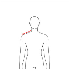 Wall Mural - Men to do shoulder measurement fashion Illustration for size chart. 7.5 head size boy for site or online shop. Human body infographic template for clothes. 