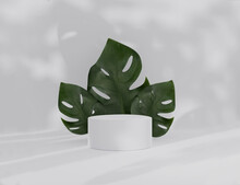 3D Podium Display With Monstera Deliciosa And Palm Shadow Copy Space. Minimal White Background With Pedestal, Green Plant Leaves. Trendy Natural Product Promotion Banner. Simple Tropical 3d Render