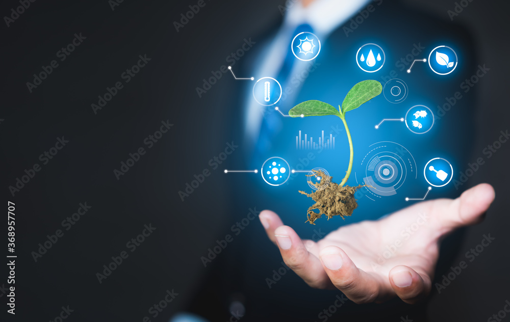 Businessman hand holding seedling, Modern agriculture with technology concept - obrazy, fototapety, plakaty 
