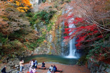Wall Mural - Beautiful scenery of a grand waterfall tumbling down the vertical rocky cliff into a green pond surrounded by colorful autumn foliage in Meiji no Mori Minoh National Park in Osaka, Kansai, Japan