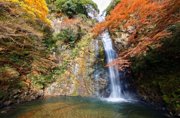 Wall Mural - Beautiful scenery of a grand waterfall tumbling down the vertical rocky cliff into a green pond surrounded by colorful autumn foliage in Meiji no Mori Minoh National Park in Osaka, Kansai, Japan