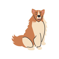 Wall Mural - cute pet dog on white background