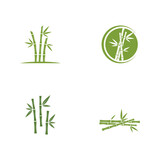 Fototapeta Sypialnia - Bamboo logo with green leaf vector icon template