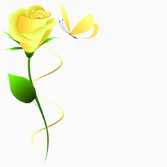 Wall Mural - Yellow rose with butterfly on white background.