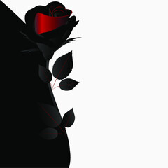 Wall Mural - Illustration of beauty black and white floral background with rose.