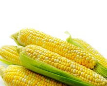 Fresh, Yellow Cobs Of Appetizing Corn