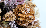 Fototapeta Storczyk - Dry bouquet
