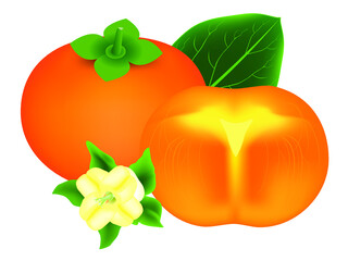 Wall Mural - Whole persimmon fruit with leaf, slice and flower isolated on white background.