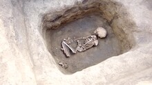 Archaeological Excavations. Human Remains, Bones Of Skeleton And Skulls Of 6 Year Old Child In The Ground Tomb.