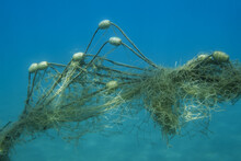 Lost Fishing Net With Buoys Lies Underwater On The Seabed On Blue Water Background. Becici, Budva Municipality, Montenegro