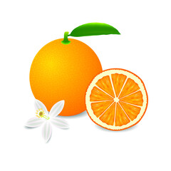Wall Mural - Whole orange fruit with leaf, slice and flower isolated on white background.