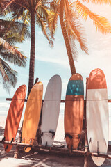 Wall Mural - Surfboard and palm tree on beach background.