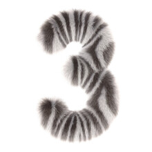 3d Zebra Creative Decorative Fur Number 3