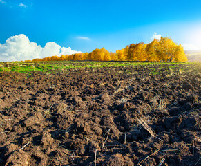 Wall Mural - plowed farm field