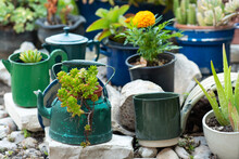Reduce, Reuse, Recycle Planter, Craft Ideas. Second-hand Kettles, Saucepans, Old Teapots Turn Into Garden Flower Pots. Recycled Amazing Garden Design And Low-waste Lifestyle.