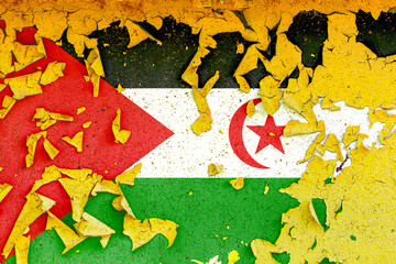 Wall Mural - The national flag  painted on an old metal wall