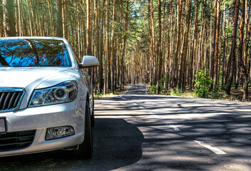 Canvas Print - Summer in California. Pine forest and single lane highway