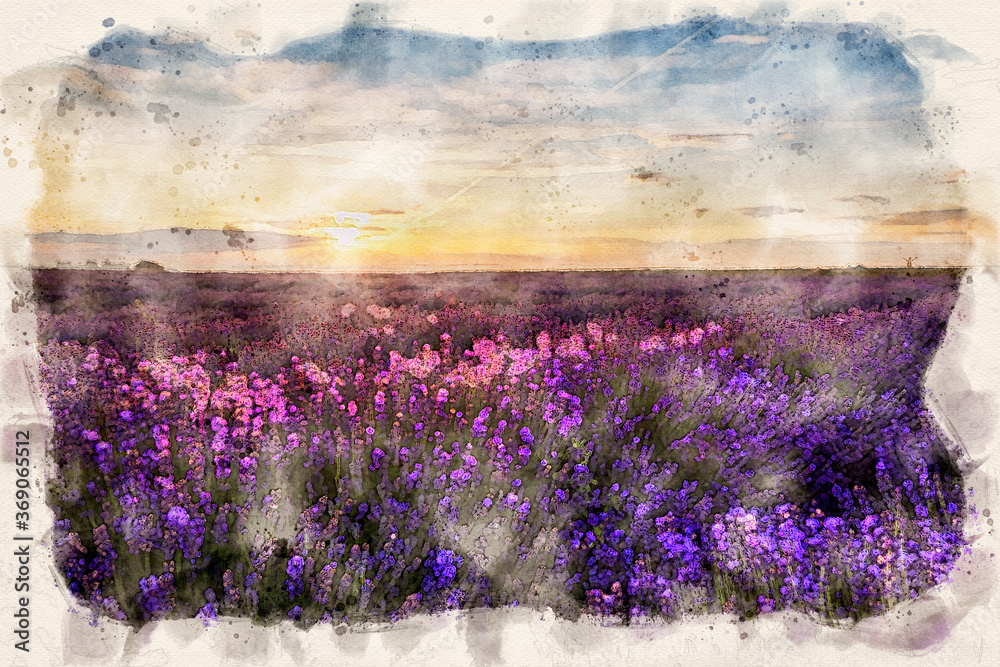 Beautiful lavender field sunset landscape - waterpaint - obrazy, fototapety, plakaty 
