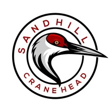 Sandhill Crane Head Logo Design Vector