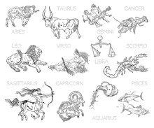 Constellations, Zodiac Signs, Horoscope. Aries, Taurus, Gemini, Cancer, Leo, Virgo, Libra, Scorpio, Sagittarius, Capricorn, Aquarius, Pisces. Vintage Engraving Tattoo Style Drawings Isolated On White.