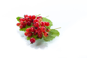 Wall Mural - ripe summer berry red currant isolated on white