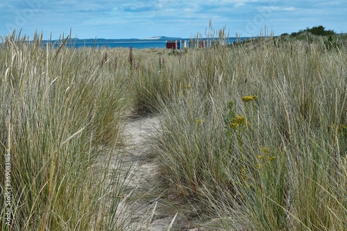 Fotomural Low view through long grass in sand dunes towards colourful beach huts, sea and blue sky