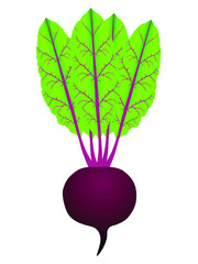 Wall Mural - Beetroot with leaves, fresh whole beet isolated on white background.