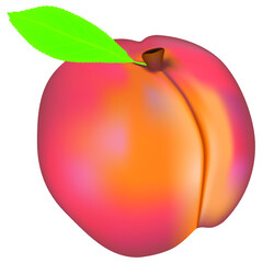 Wall Mural - Peach on a white background.