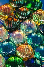 Crop Glass Sea Shells