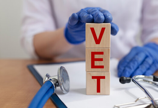 vet word on wooden cubes and hands in blue medical gloves on a gray background