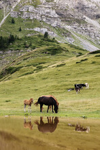 Idyllic And Rural Scenery In Montenegro Mountains, At Summer Time
