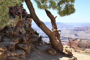 Grand Canyon 2