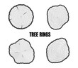Collection of tree rings isolated on white background - Vector illustration
