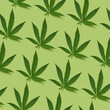 © Yaroslav Danylchenko/Stocksy - Pattern of fresh cannabis leaves