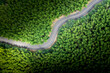 © Ma YiChao/Stocksy - Aerial view of green summer bamboo forest with a road