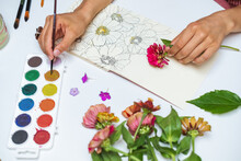 Anonymous Female Artist Painting Flowers With Watercolors