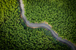 © Ma YiChao/Stocksy - Aerial view of green summer bamboo forest with a road