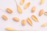 Fototapeta Lawenda - Seed of Wheat grain on white